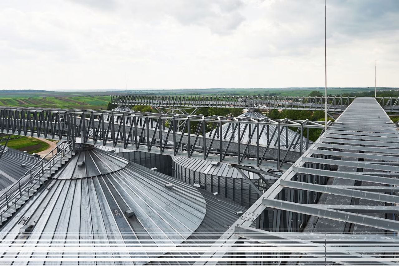 Зеленский обсудил с Макроном зерновой коридор и вопросы безопасности