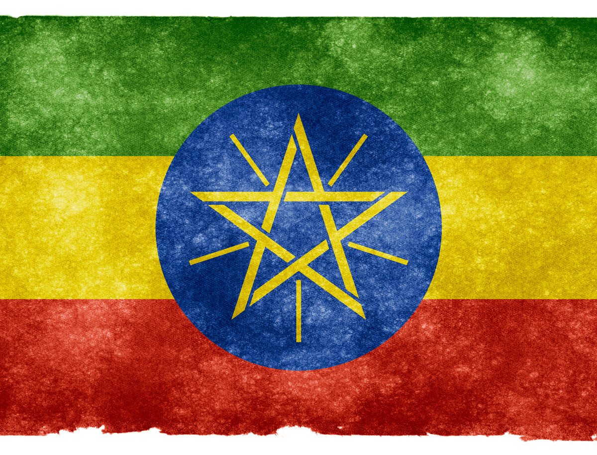 Посол Терехин: РФ и Эфиопия могут совместно развивать горнодобывающую ...